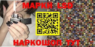 гидра Будённовск