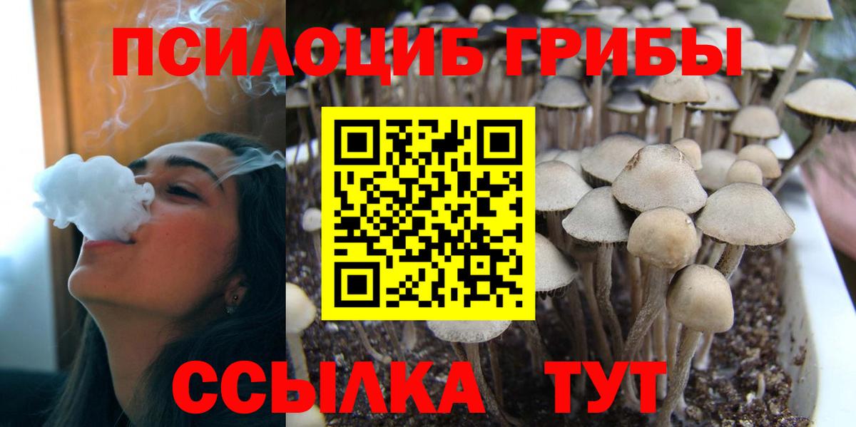 Галлюциногенные грибы Magic Shrooms  Вход с VPN  закладки  Нурлат 